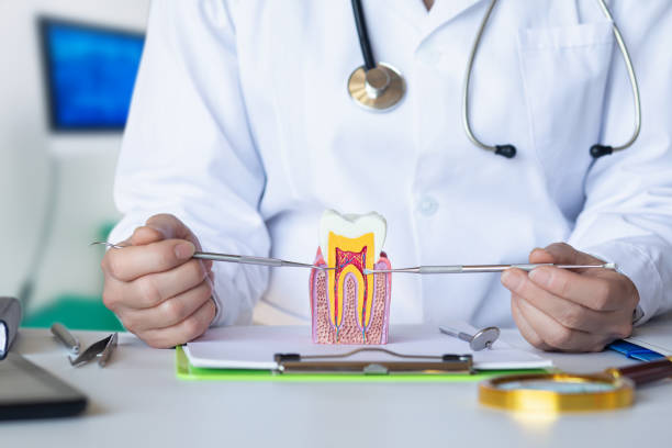 Best Emergency Treatment for Dental Infections or Abscesses in Bunker Hill Village, TX